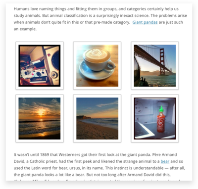WordPress Image Gallery displayed between paragraphs