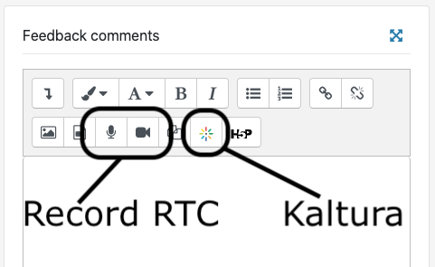 Black circles around Record RTC and Kaltura buttons in ATTO editor in Moodle comments