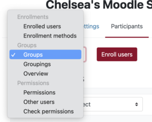 groups menu in Moodle