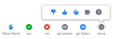 Nonverbal icons that Zoom participants can select