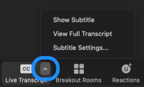 Zoom Live Transcript view settings