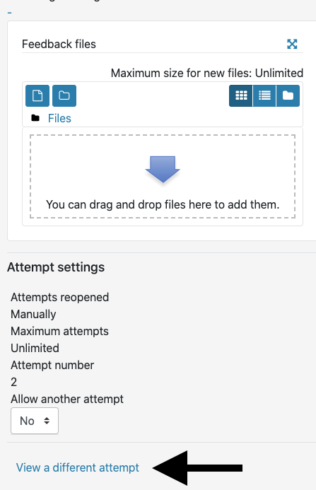 Click on the "View a different attempt" link to see previous attempts.