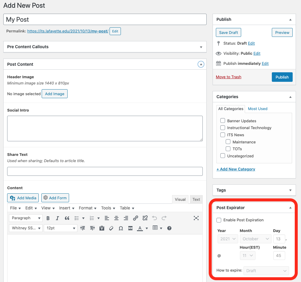 Red box around "Post Expirator" box in WordPress editing window for a new post.