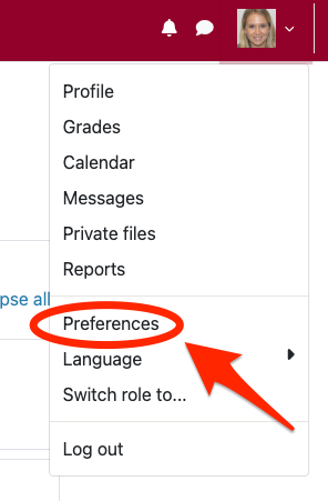 locating "preferences" from the user menu in Moodle