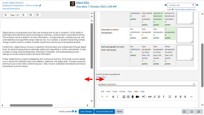 Assignment grader with grading panel resized to allow space for rubrics.