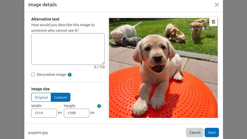 Image details options when inserting an image.