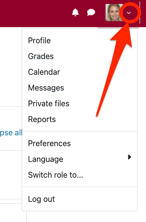 user menu in Moodle